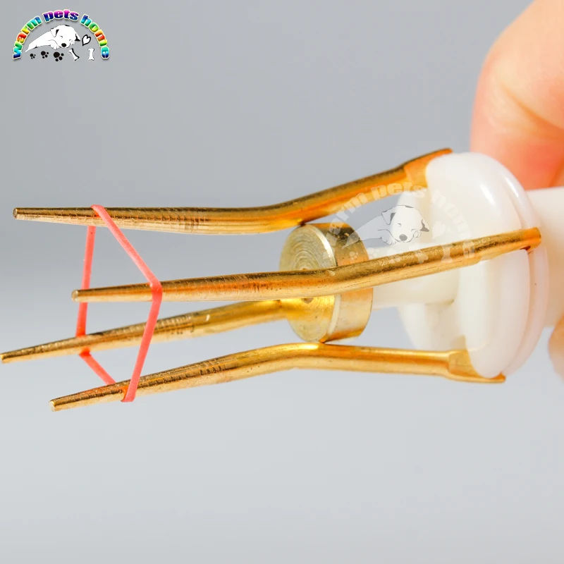 Herramientas de emasculador de recorte de cola de perro, Clip de cola de perro, equipo de corte de cola de cachorro, instrumentos veterinarios - imagen 5