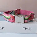 Dog Collar