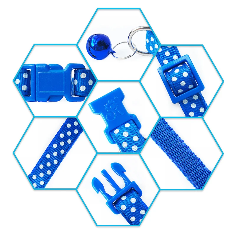 Collar con puntos colocado en un cachorro