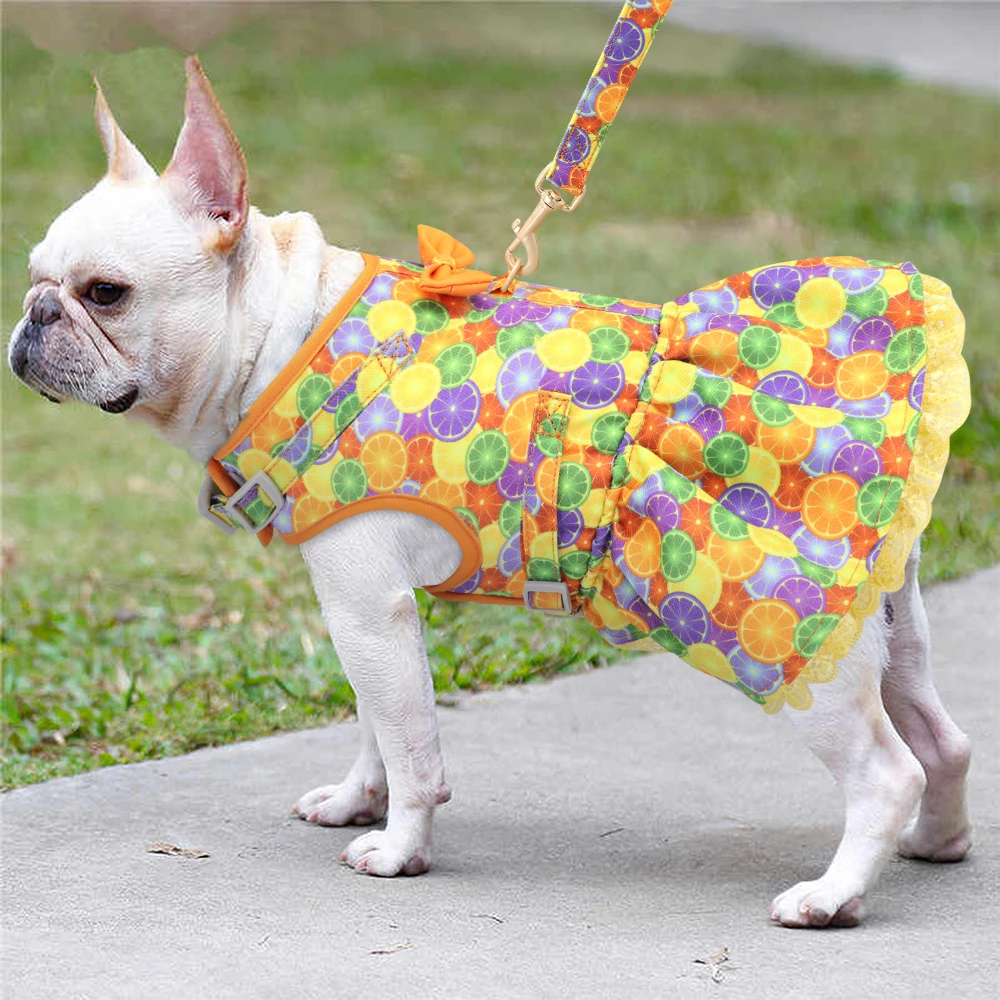 Arnés Correa Perros Pequeños - imagen 5