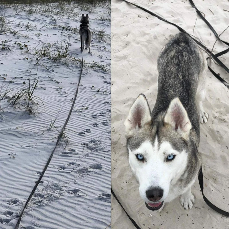 Benepaw-Correa de nailon duradera para perros, accesorio de entrenamiento con mango acolchado, largo y cómodo, de 1,5 m/1,8 m/3m/4,5 m/6m/9m/15m - imagen 4