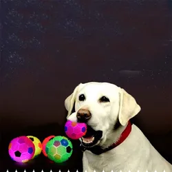 Bola masticable LED para perros – Resistente y luminosa