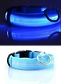 Collar-Blue