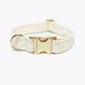 gold buckle collar