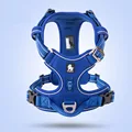 Royal blue harness