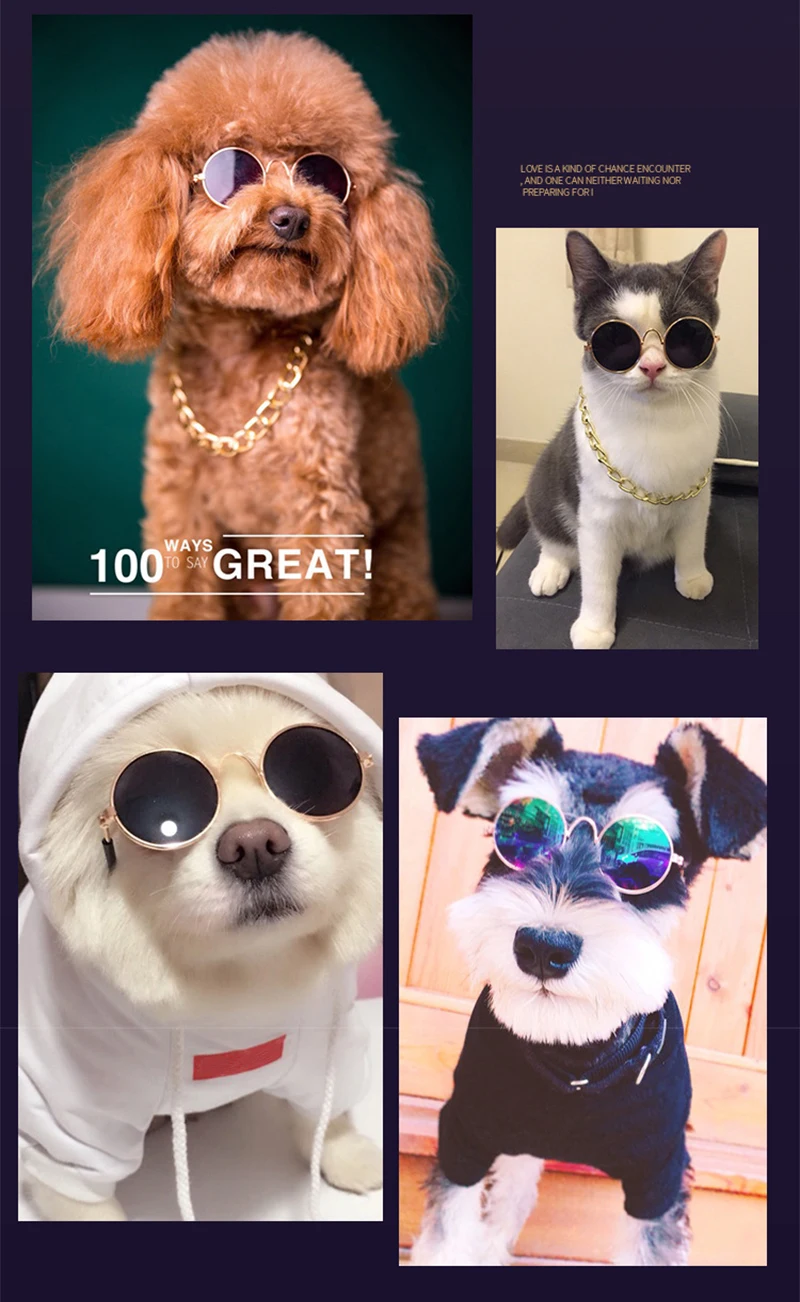 Gafas de sol para perros pequeños - Feliz y protegido