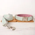 Dog Collar Leash Set