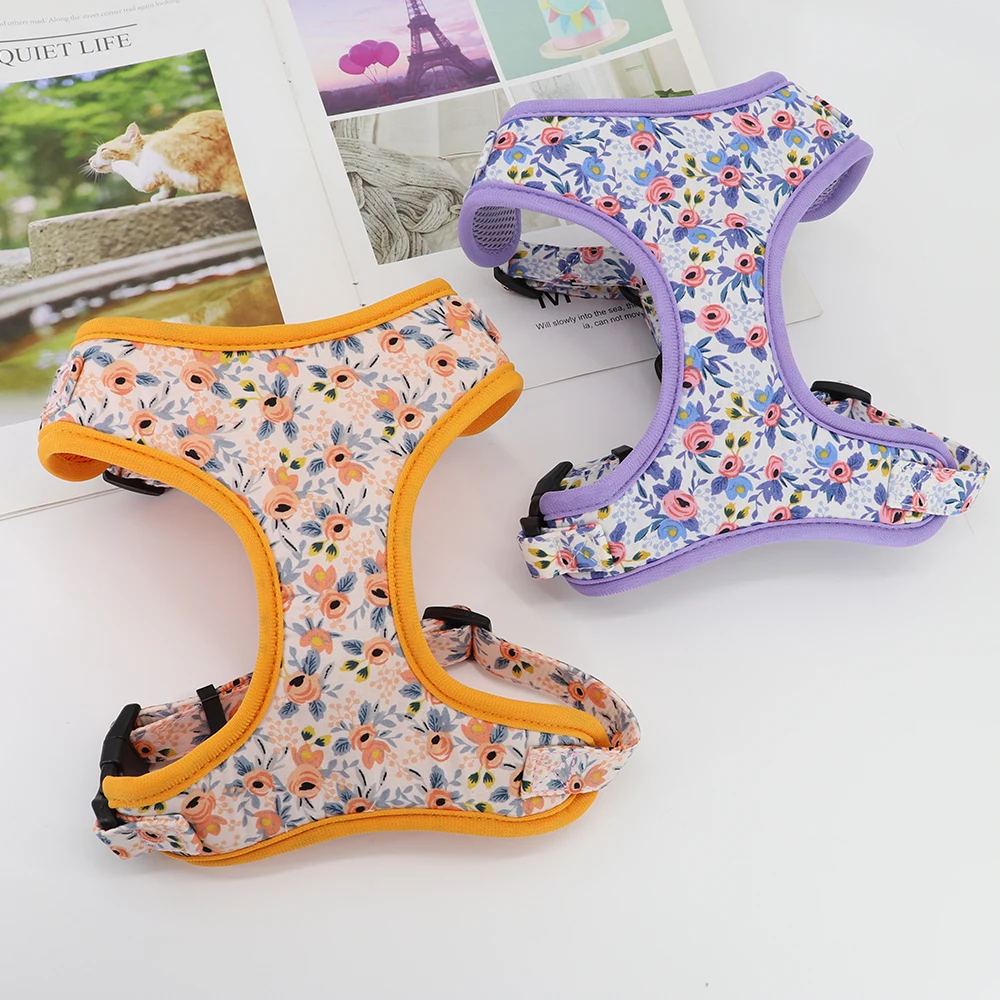 Arnés PET ARTIST - Uso en gatos pequeños