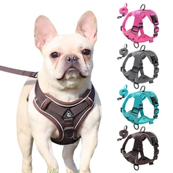 Conjunto arnés y correa reflectantes para perros pequeños medianos
