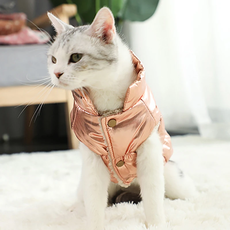 Chaqueta de plumón cálida impermeable para gatos pequeños, ropa de invierno para mascotas, abrigo Kedi Katten, ropa para cachorros, disfraz de mascota, disfraz de gato - imagen 3