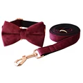 Bow Collar Leash Set