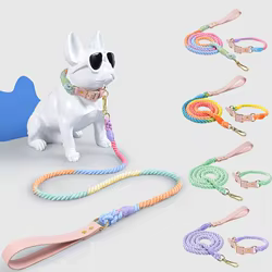 Correa para perro PU colorida para paseos seguros
