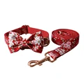 Bow Collar Leash Set