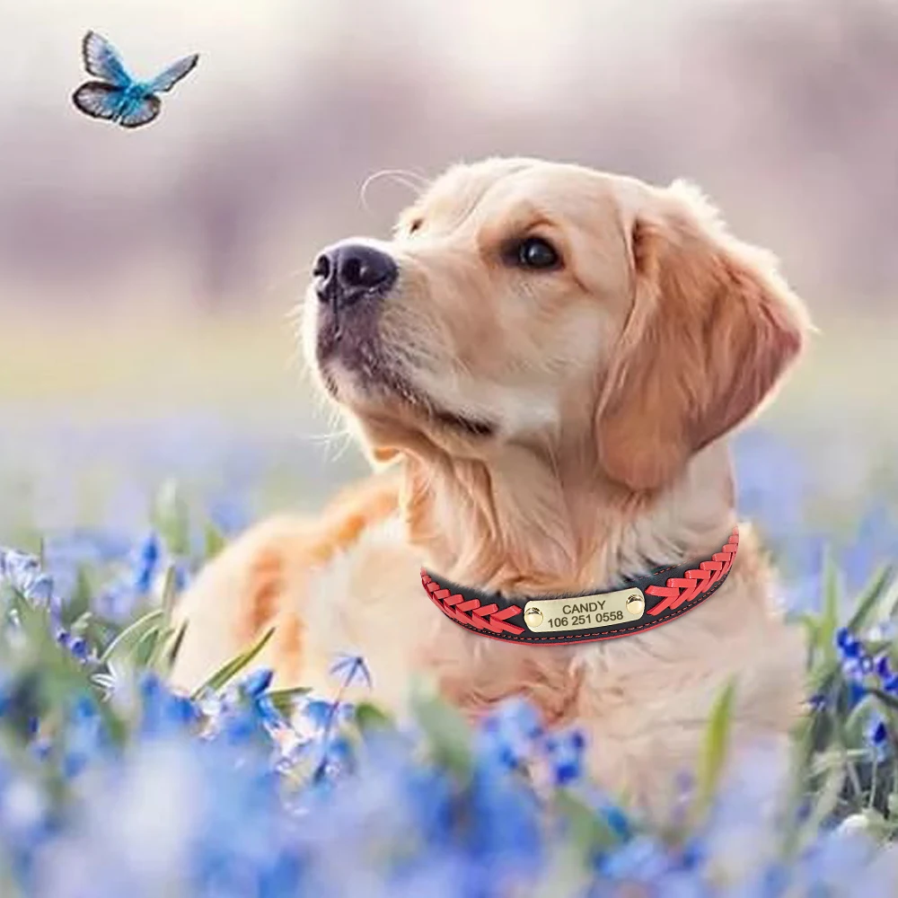 Collar de perro personalizado, collares trenzados acolchados de cuero para perros, grabado gratis, etiqueta de identificación para mascotas, placa con nombre para perros pequeños, medianos y grandes - imagen 5