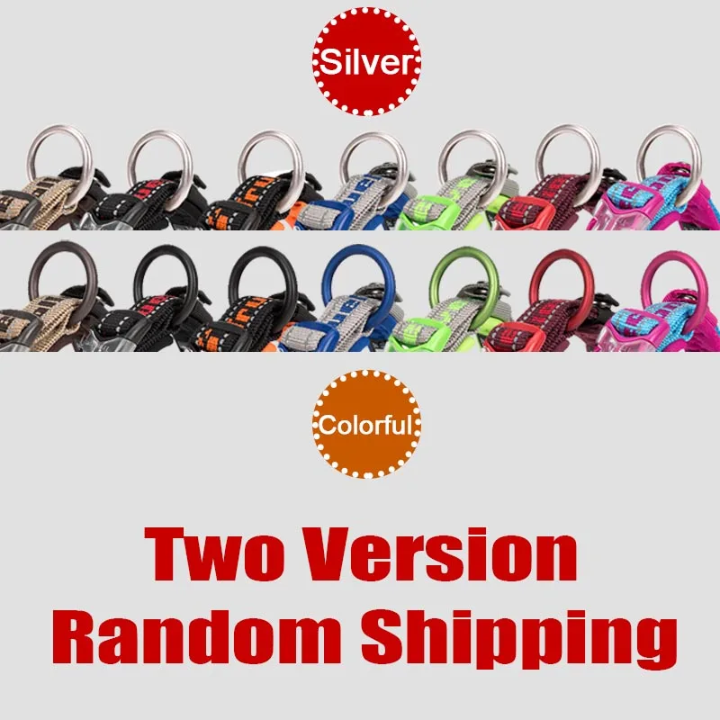 Truelove-Collar de neopreno bordado para perro, correa ajustable de nailon para perros grandes y pequeños, reflectante, para correr, Chihuahua - imagen 3