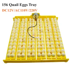 Incubadora para 36 huevos de codorniz – Girador automático