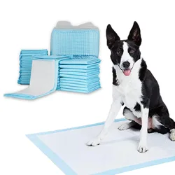 Pañales reutilizables absorbentes para perros y gatos – Ecológicos y prácticos