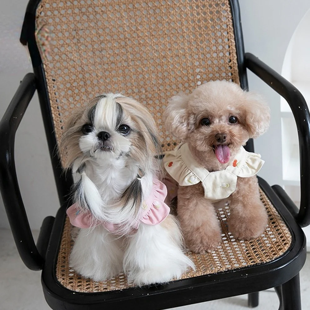 Falda bordada con correa de terciopelo para perro, ropa para mascotas, disfraz de gato y perro, chaqueta Bichón de peluche, vestidos para perros pequeños y lindos, ropa para perros - imagen 2