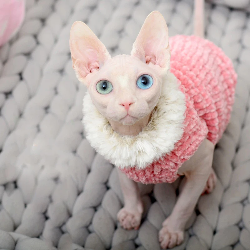 Ropa para gatos, suéter tejido suave hecho a mano cálido para invierno, traje Sphynx, sudaderas con capucha para gatos, jersey Sphinx, ropa para gatitos, suministros para gatos - imagen 2