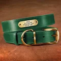 Green Collar