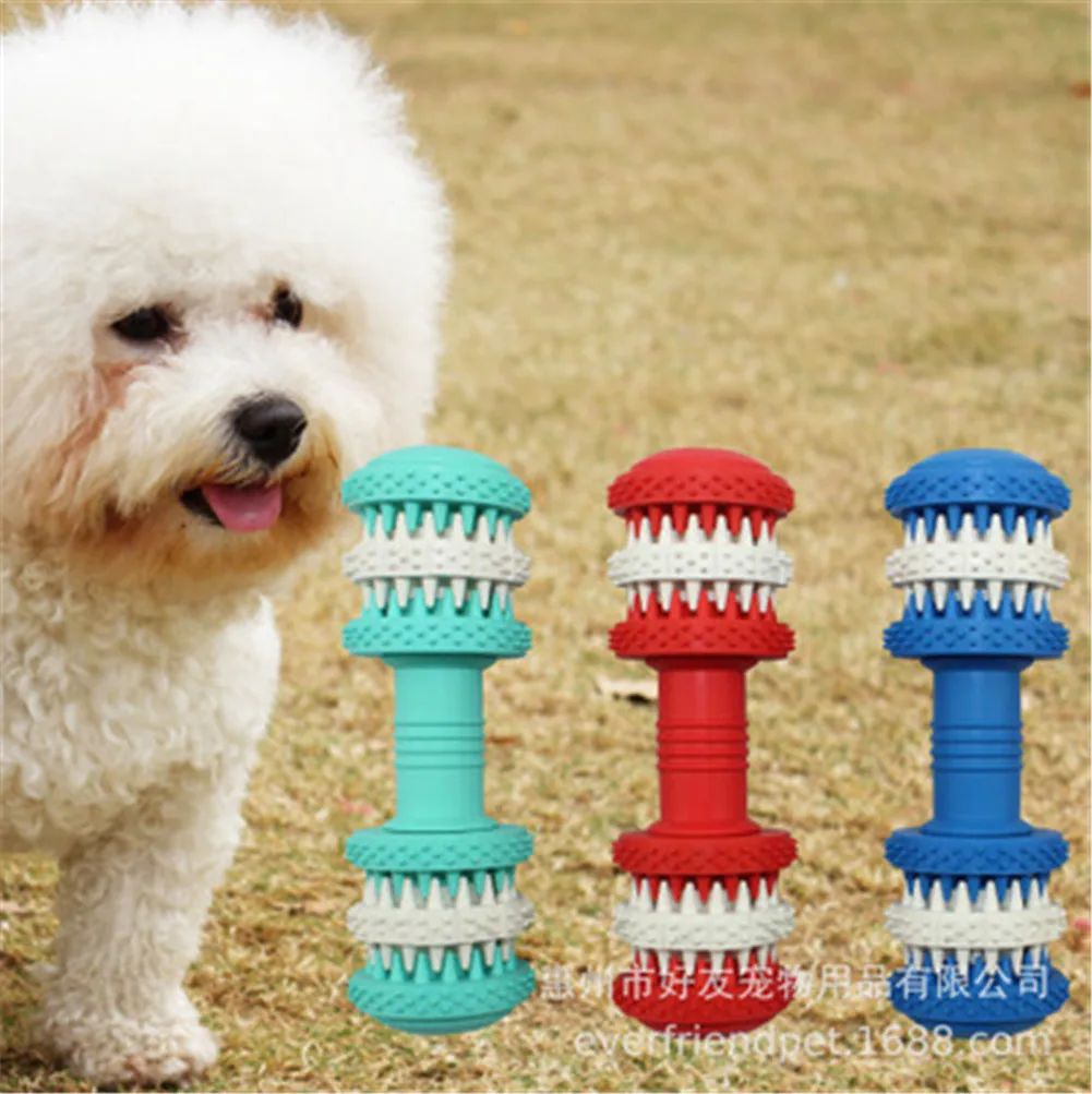 Un perro blanco parado frente a tres cepillos de dientes