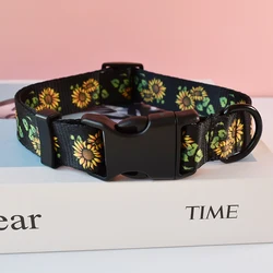 Correa de adiestramiento para perros y gatos - conjunto de correas