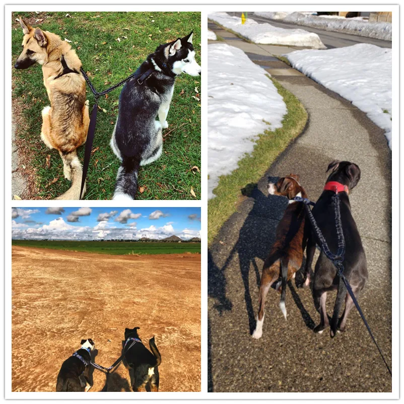 Benepaw-correa elástica para perros pequeños, medianos y grandes, correa doble reflectante de alta resistencia para mascotas, asa acolchada - imagen 2