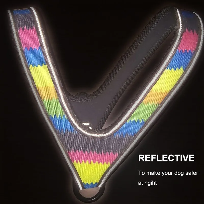 Pennsylvania ácido - imagen 4