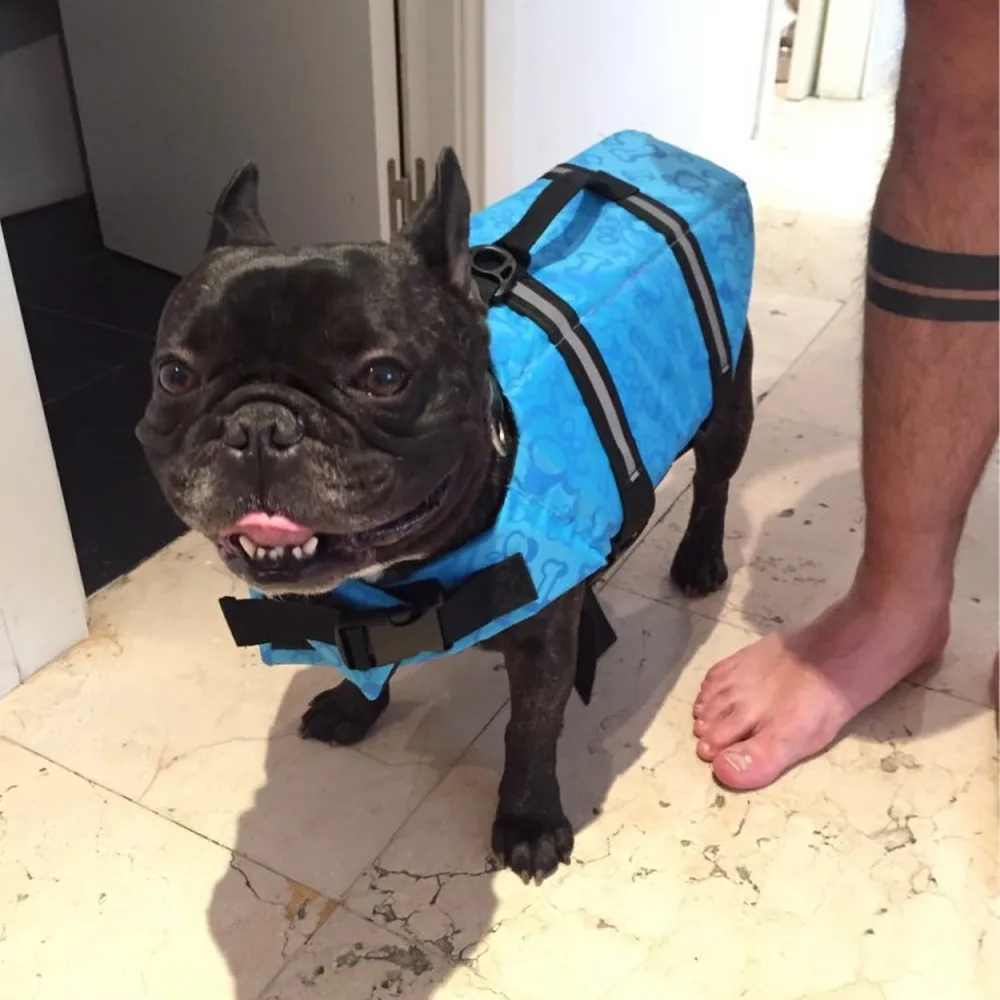 Chaleco Salvavidas con estampado de verano para mascotas, ropa de seguridad para perros, traje de baño para mascotas, Chaleco Salvavidas - imagen 3