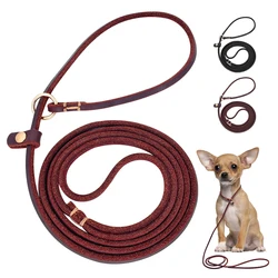 Correa de cuero para perro 4-5 pies - collar antideslizante diario