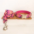 Dog Collar Leash Set
