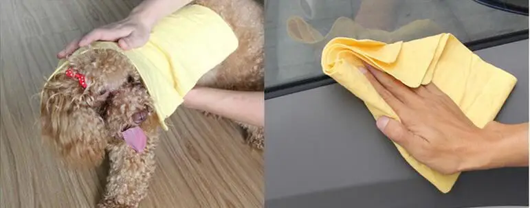 Toalla PVA - Aplicaciones prácticas