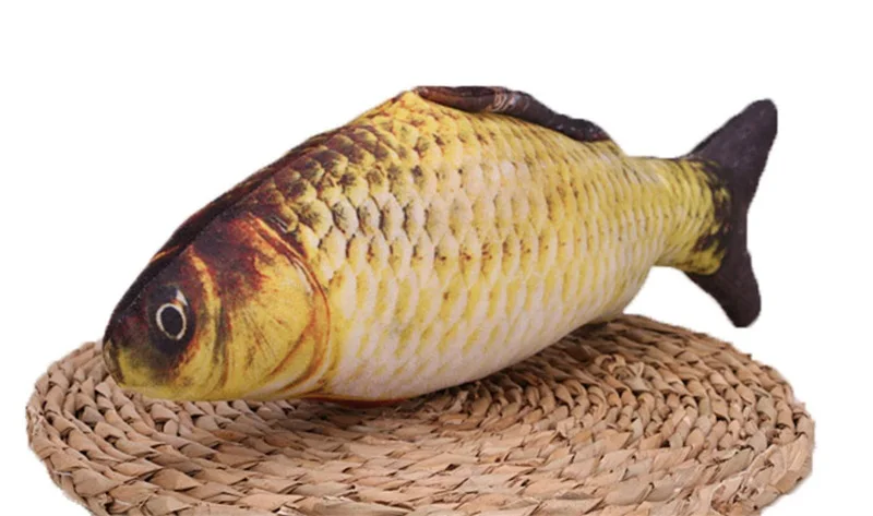 Grass Carp