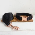 Dog Collar Leash Set
