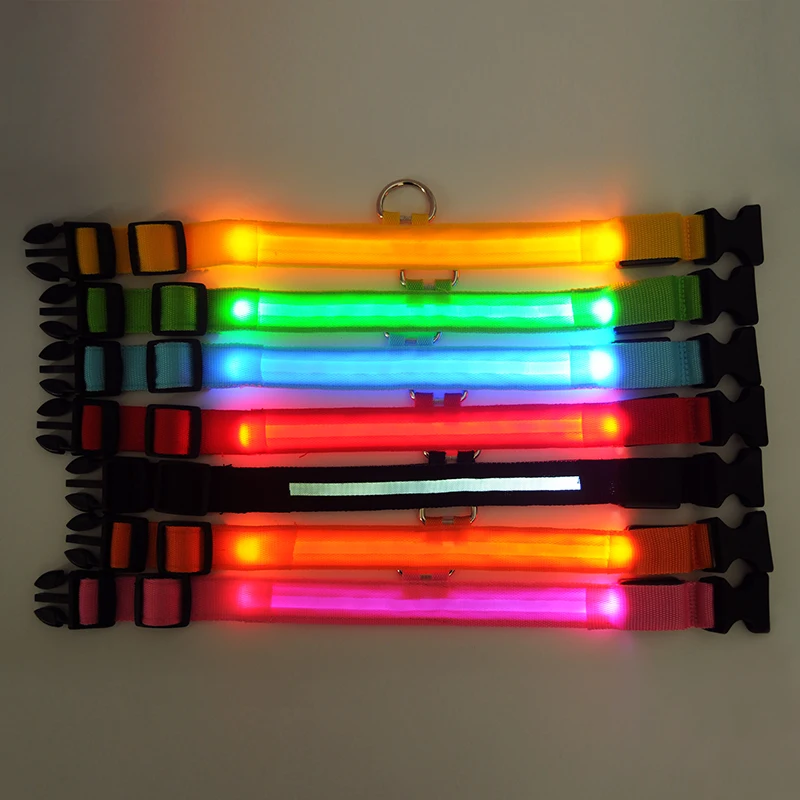 Collar LED luminoso para perros en modo nocturno