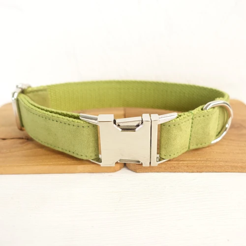 Dog Collar