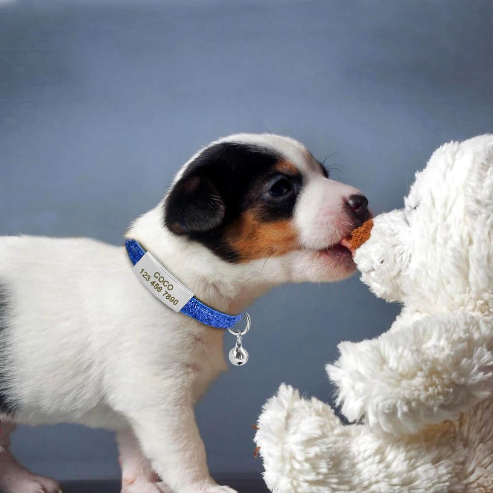 Etiqueta de nombre grabada personalizada - versatilidad