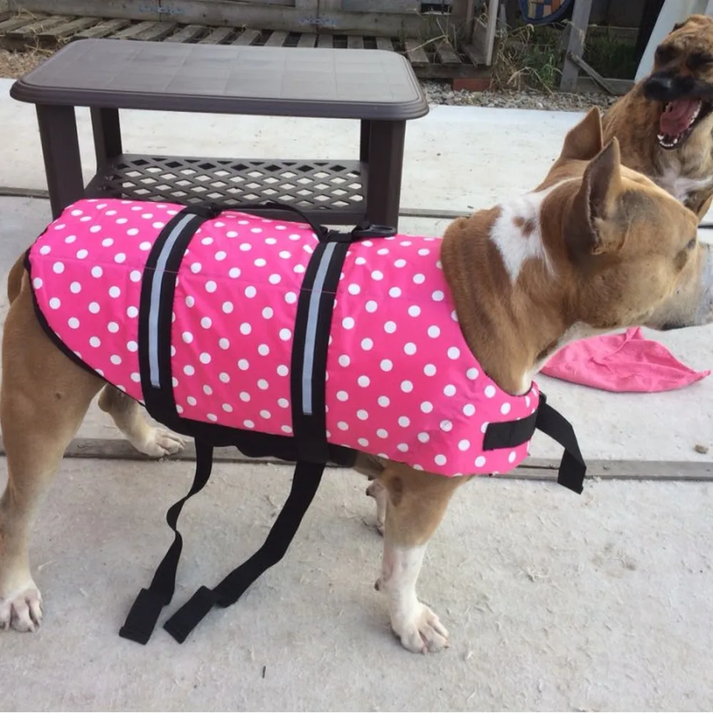 Chaleco Salvavidas con estampado de verano para mascotas, ropa de seguridad para perros, traje de baño para mascotas, Chaleco Salvavidas - imagen 4