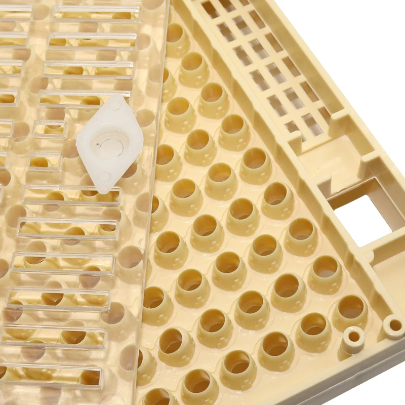 Equipo de apicultura, herramientas para cría de abejas reinas, huevos, jaula de caja de plástico para apicultor profesional, suministros de apicultura - imagen 4