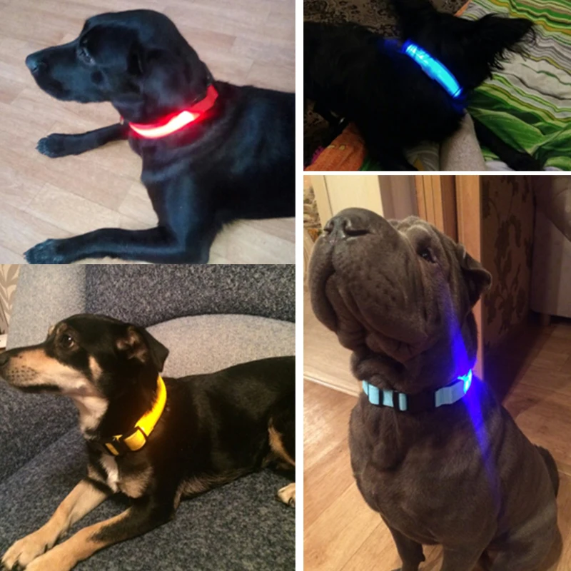 Collar LED de nailon con diferentes colores disponibles