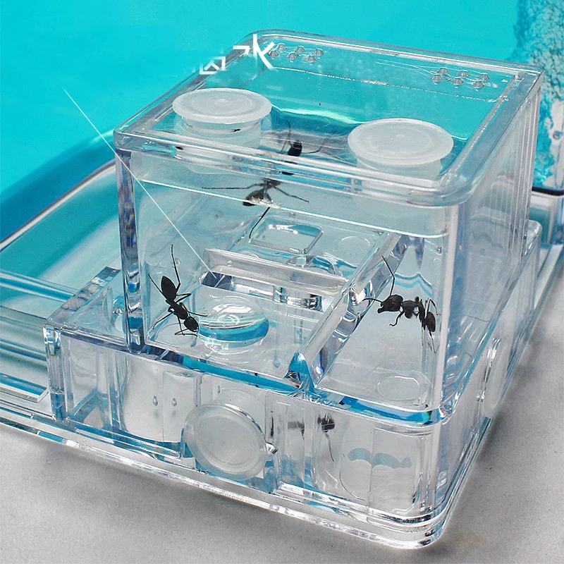 Acrylic Ants Farm Ants House Castle Colorful Insects Terrarium Ant Cage Insects Box Nursery Ecological Kid Educational Model Toy2