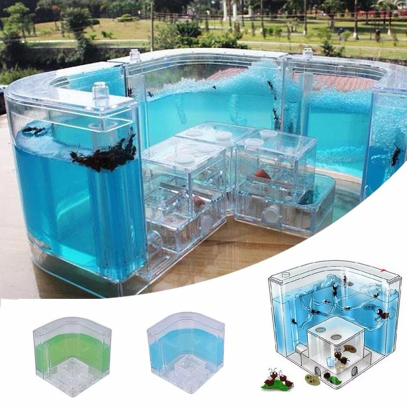 Casa de hormigas acrílicas para niños, Terrario de insectos coloridos, caja de insectos, guardería, juguete ecológico, modelo educativo - imagen 3