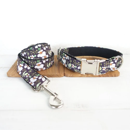 Dog Collar Leash Set