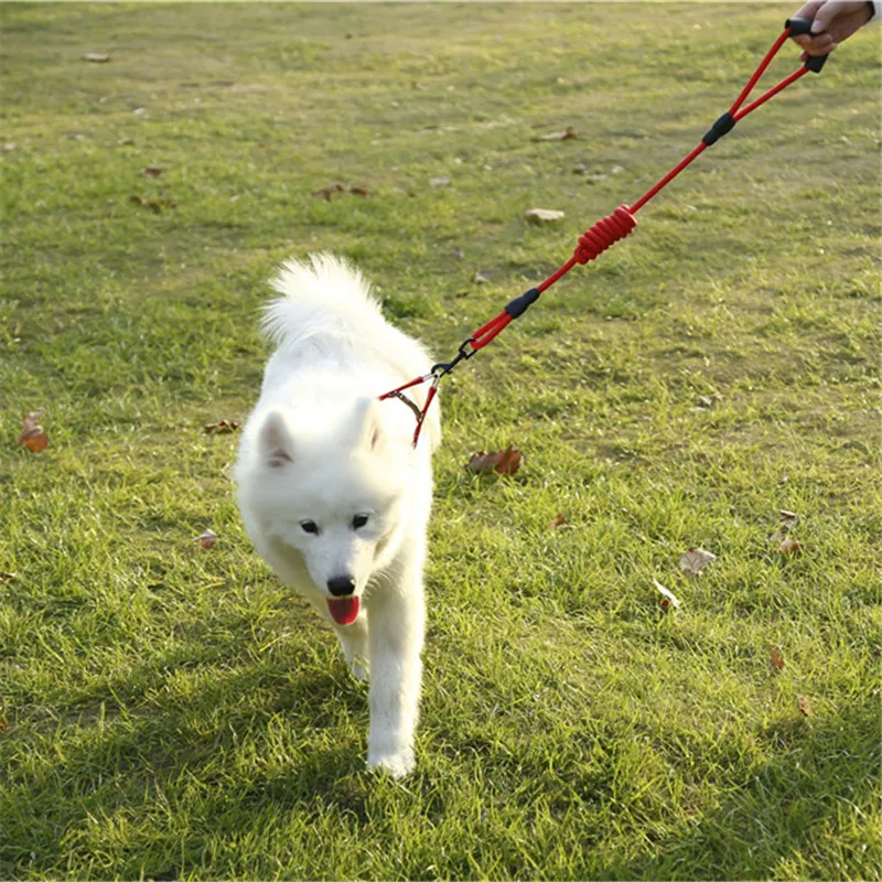Correa ajustable portátil para perro, Collar con corbata, cinturón de seguridad para cachorro, arnés para gato, conjunto de accesorios para tienda de mascotas - imagen 5