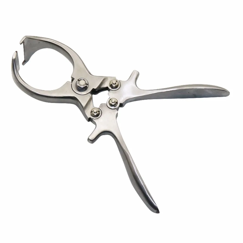 1 Uds. Abrazadera de castración de oveja y cerdo sin sangre de acero inoxidable herramienta de castración pinzas de castración herramientas especiales veterinarias - imagen 5
