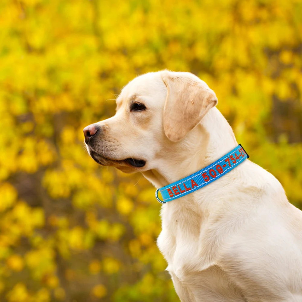Collar personalizado de nailon bordado para perro, etiqueta de identificación, reflectante, nombre de Mascota, Collar de teléfono para perros pequeños, medianos y grandes - imagen 5