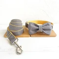 Bow Tie Collar Leash