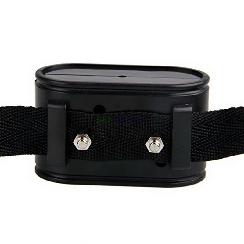 Collar receptor de valla electrónica para W227 W227B, valla eléctrica para perros y mascotas en el suelo, accesorios de Collar de entrenamiento electrónico - imagen 3