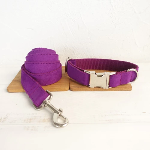 Dog Collar Leash Set