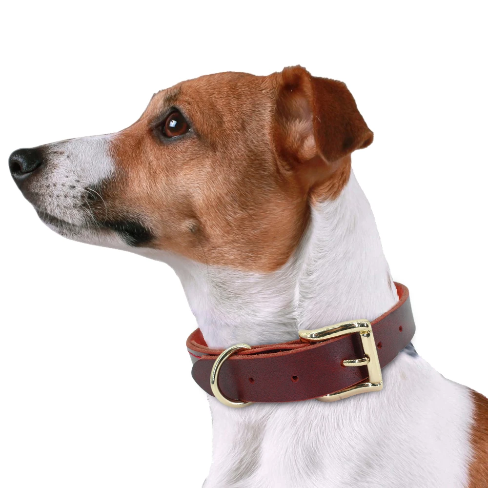 Collar de piel auténtica para mascotas, accesorio para perros pequeños, medianos y grandes, Pastor Alemán, XS-XXL - imagen 4
